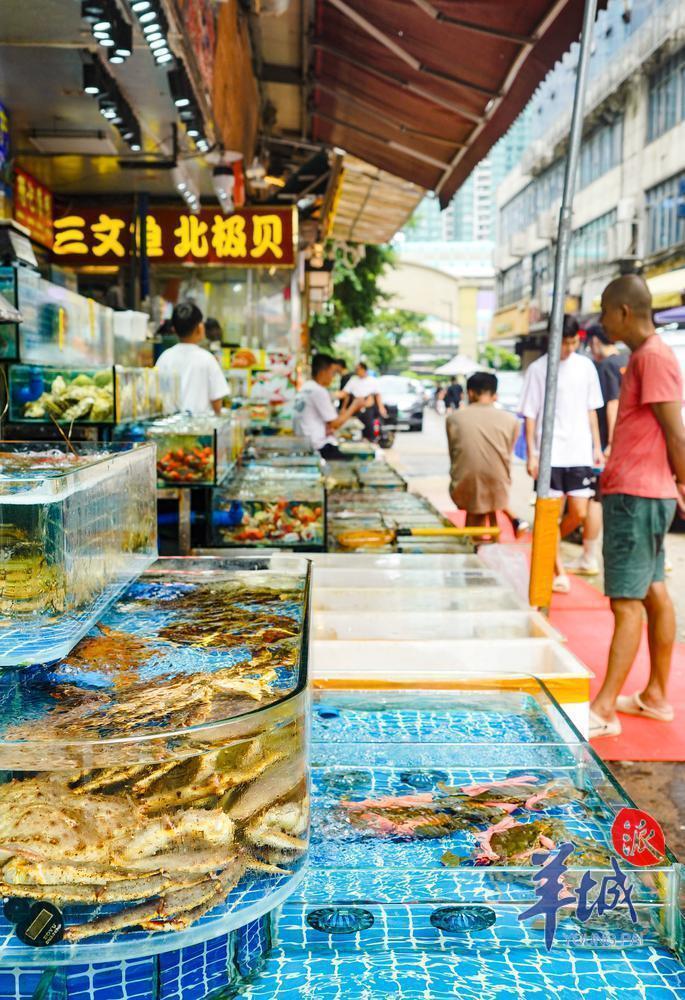 视频 图集|华南地区最大水产综合市场已无在售日本进口水产品