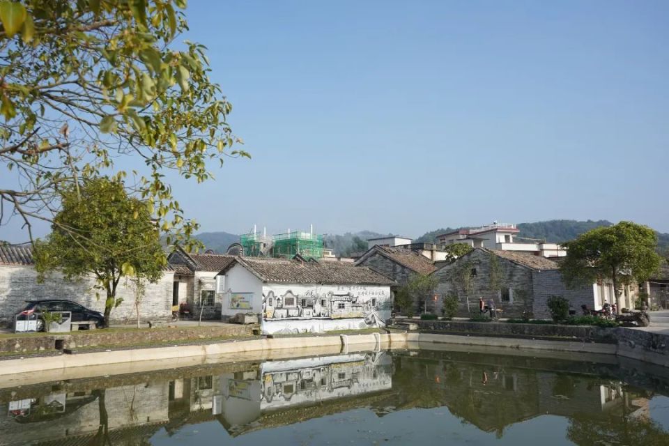 清远佛冈龙山镇擘画"绿美新画卷",擦亮"古色"名片,打造"绿饭碗"_腾讯