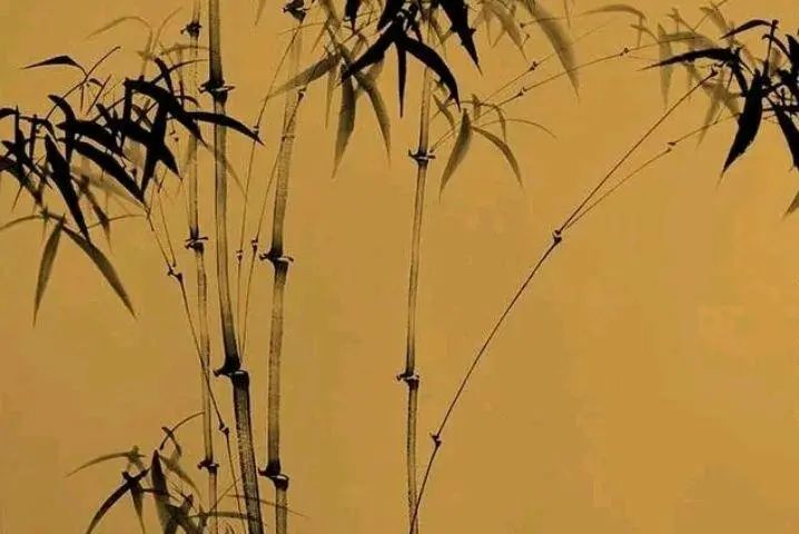 杜甫的竹子诗，托物言志，委婉含蓄 第 6 张
