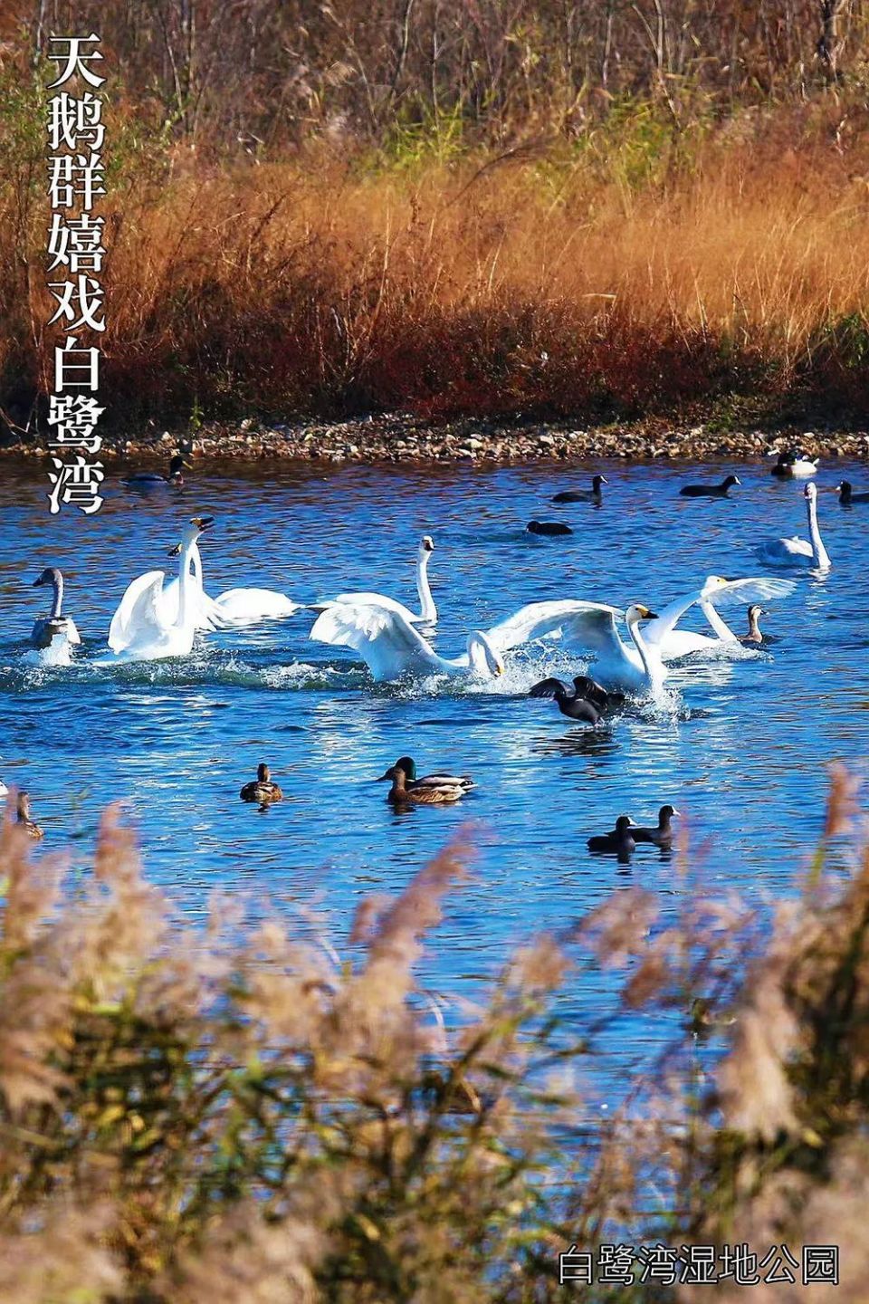 邂逅"日照美"!一大波美图来袭