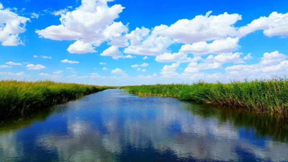 组图 | 夏日青土湖