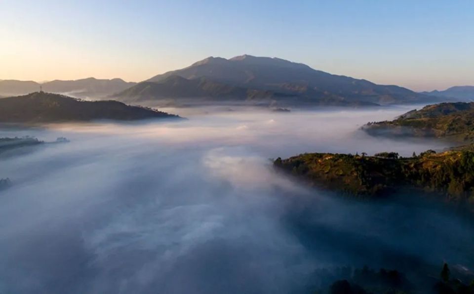 日出云蒸霞蔚能得到最具象化的体现在云浮的"绿肺"——大金山向云端,"