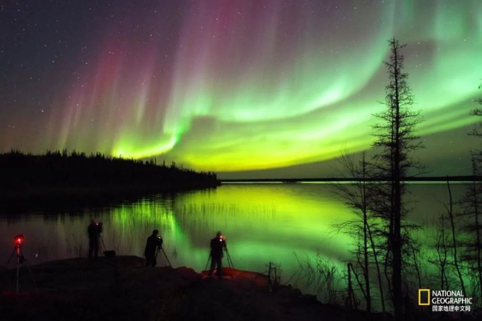 今年全球将看到20年来最美的极光