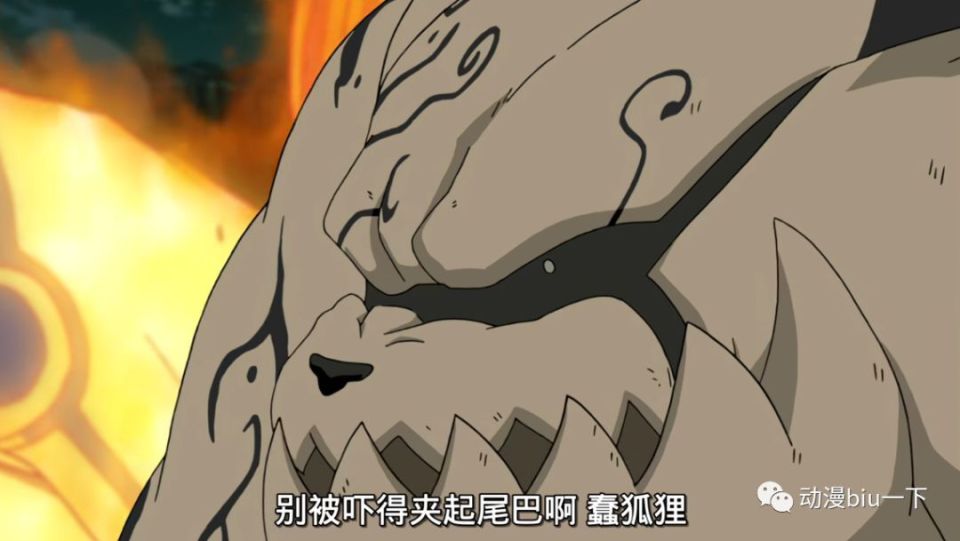 九只尾兽中,为什么九尾只讨厌守鹤?