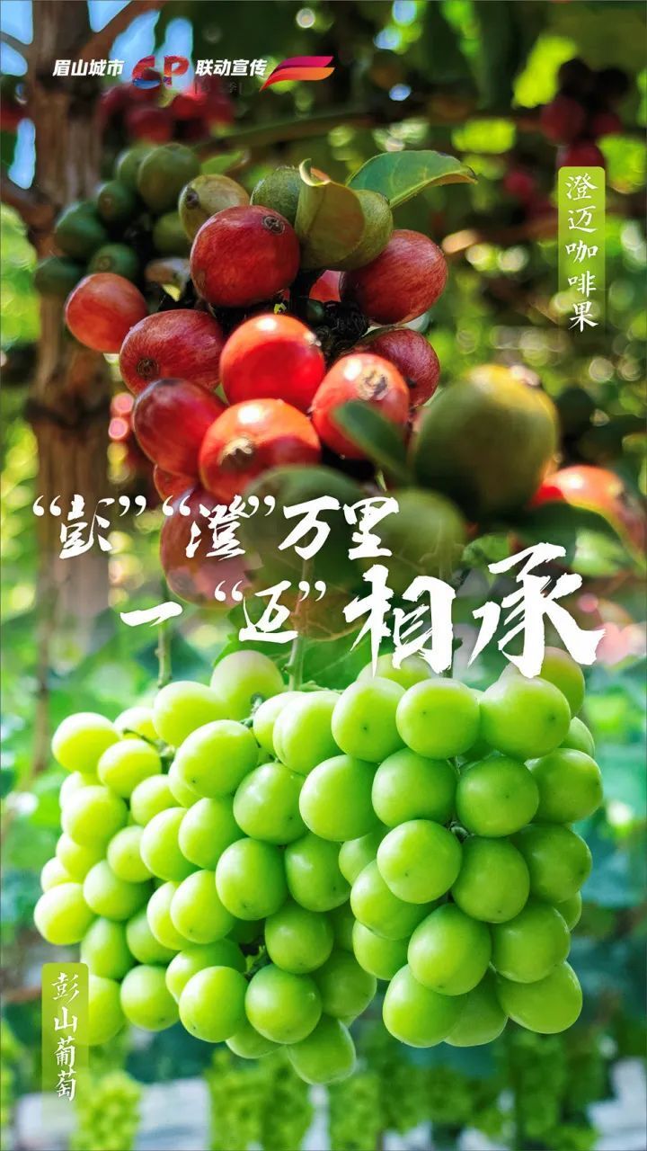 720_1280竖版 竖屏