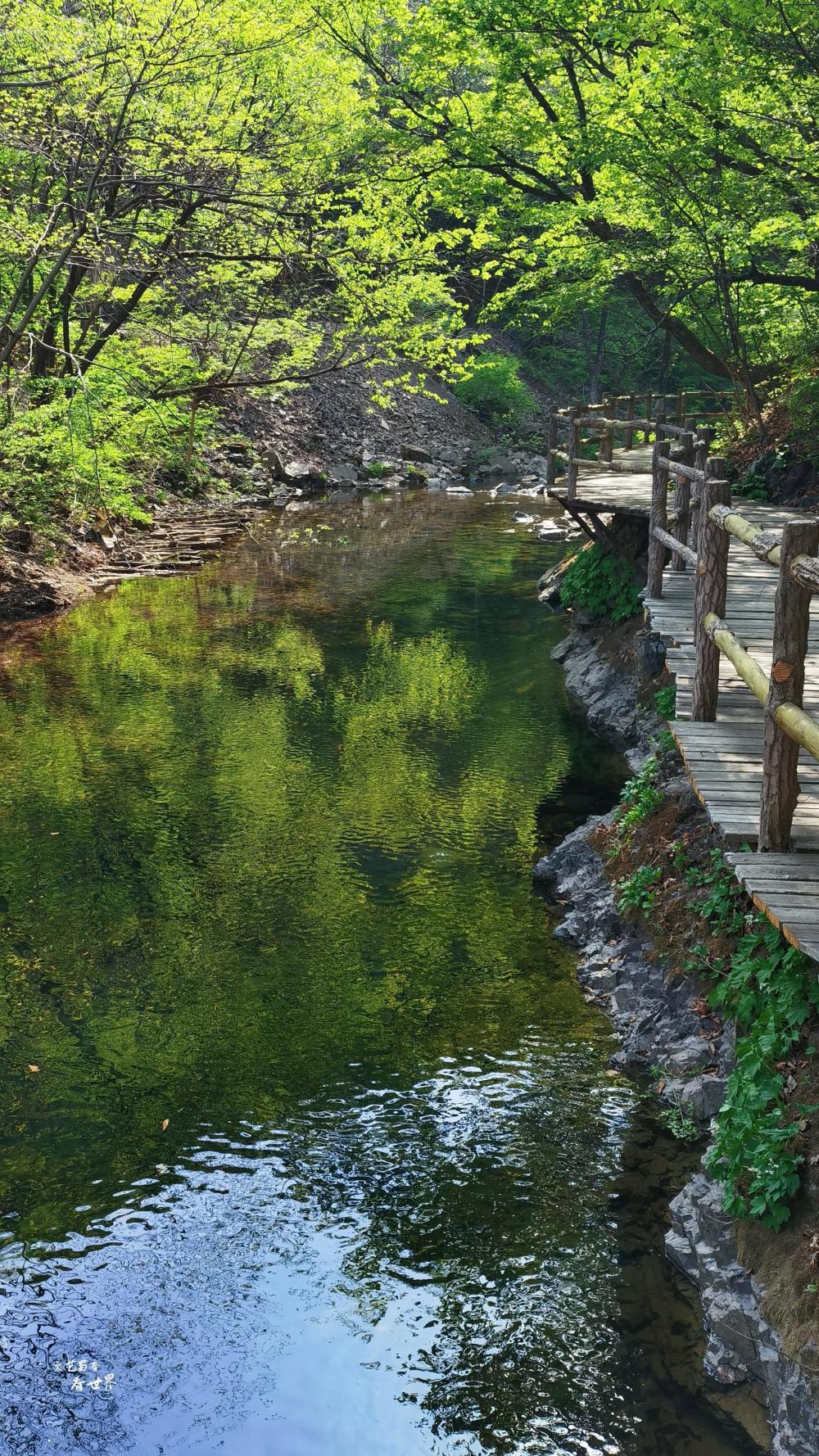 初夏时节去本溪关门山森林公园走走,人少景美,特别地幽静_腾讯新闻