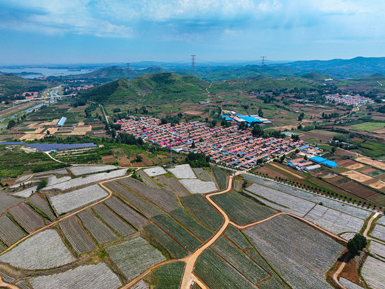 架起桥沟村致富连心桥