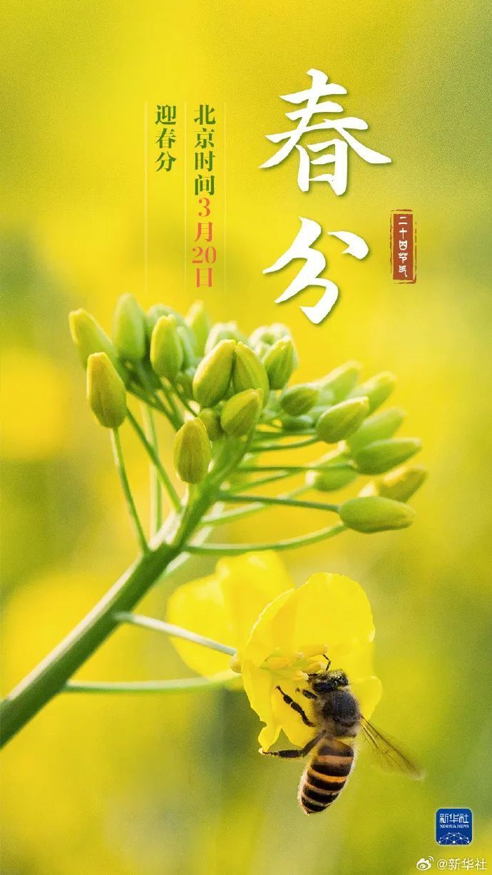 今日春分，昼夜平分