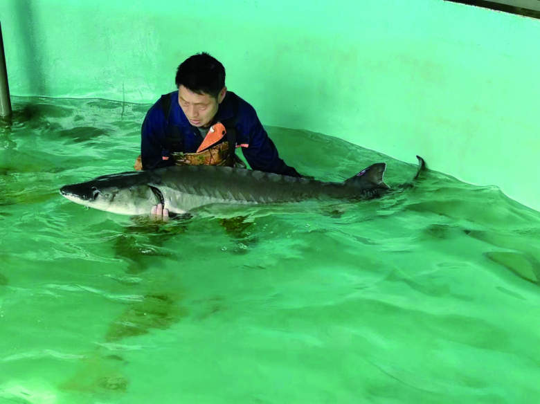 全新首页焕新登场