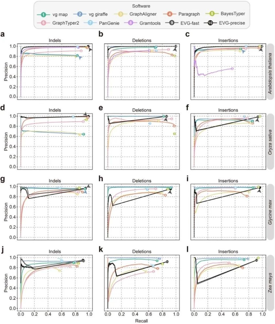 华中农大近期科学研究进展