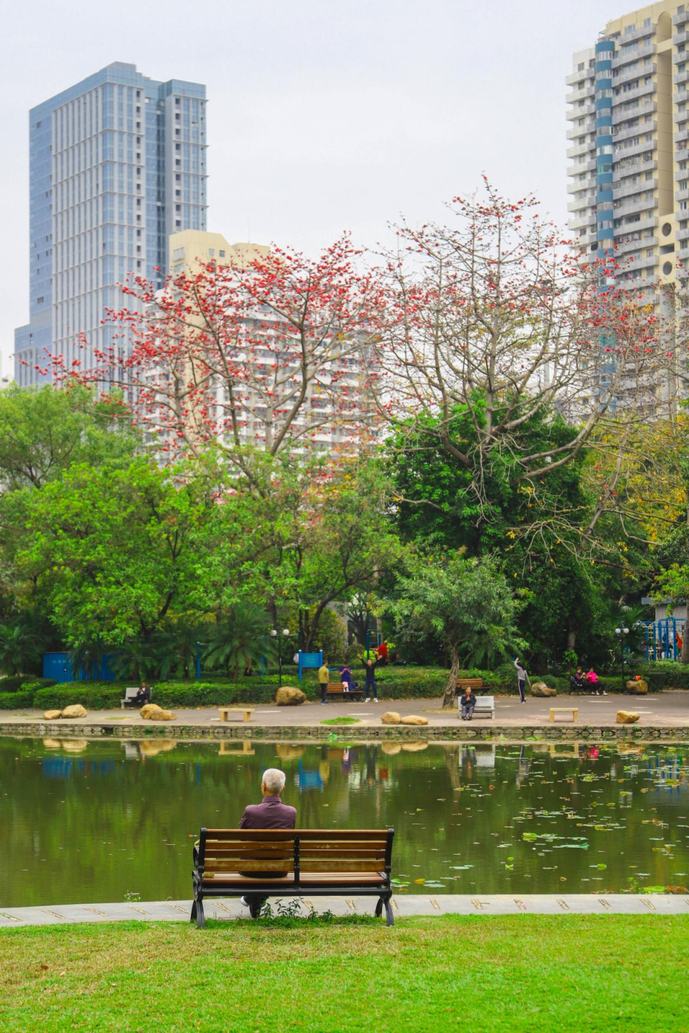 【知多d】深圳市洪湖公園位於羅湖區鬧市中心,總面積59.