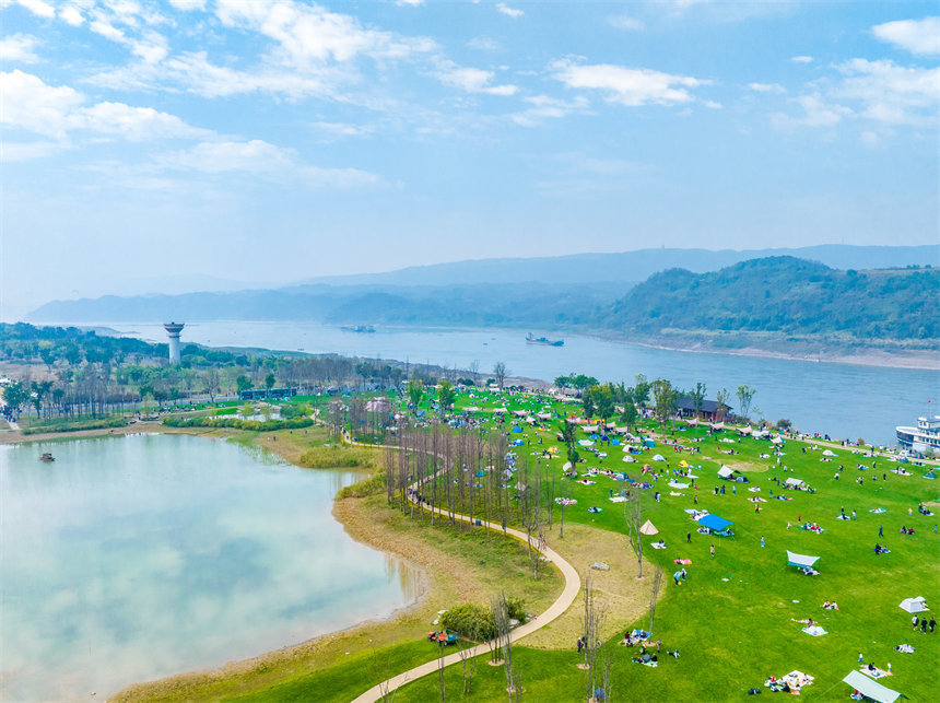 重庆广阳岛踏青赏花市民乐享春光