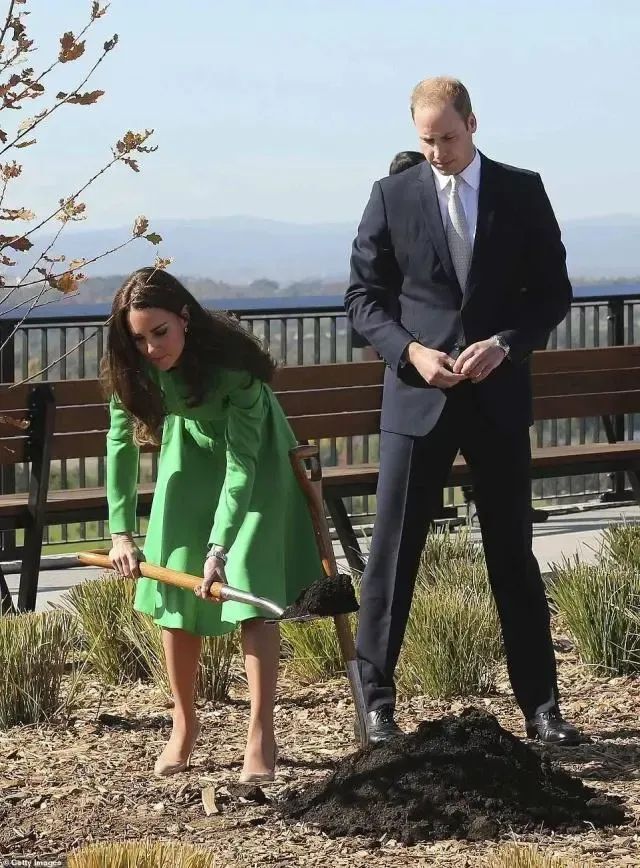 640_868竖版 竖屏