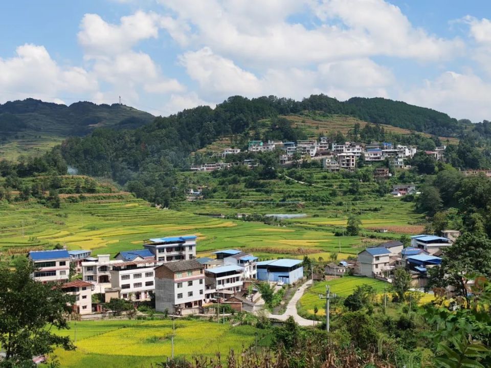 【和美城乡 四大行动】黄平县野洞河镇:"三有"干群携手共绘乡村新画卷