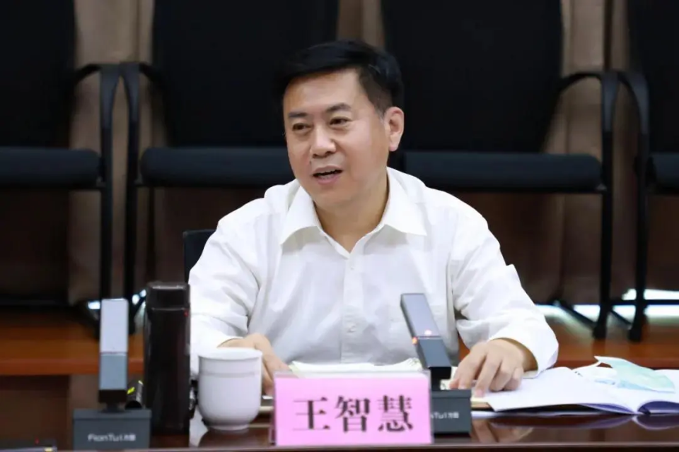 公开简历显示,王智慧,男,汉族,河南商水人,清华大学人文社会科学学院