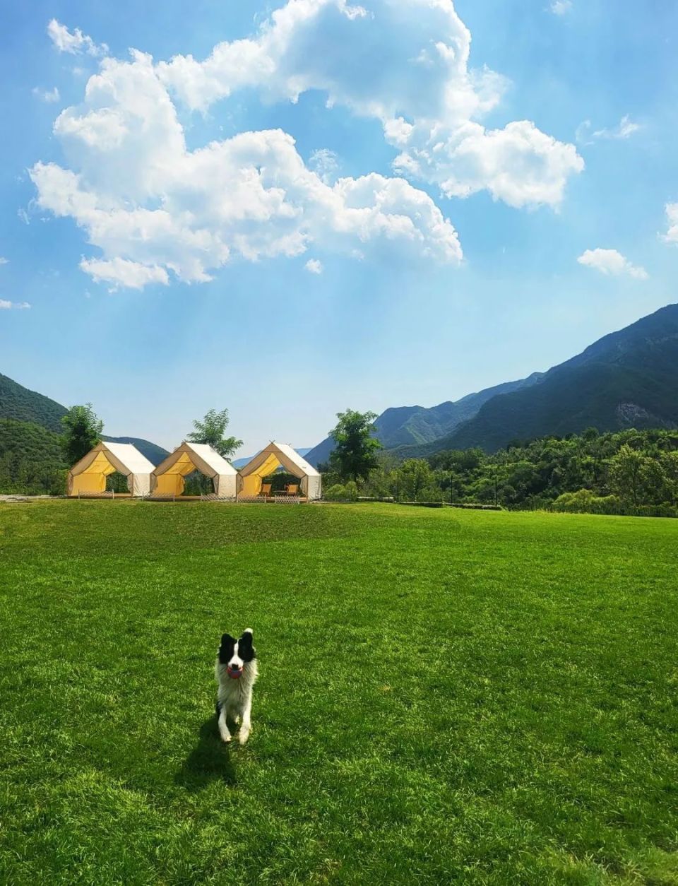 park,并将其与郊野型露营体验相结合,红石宠物营地在门头沟妙峰山附近