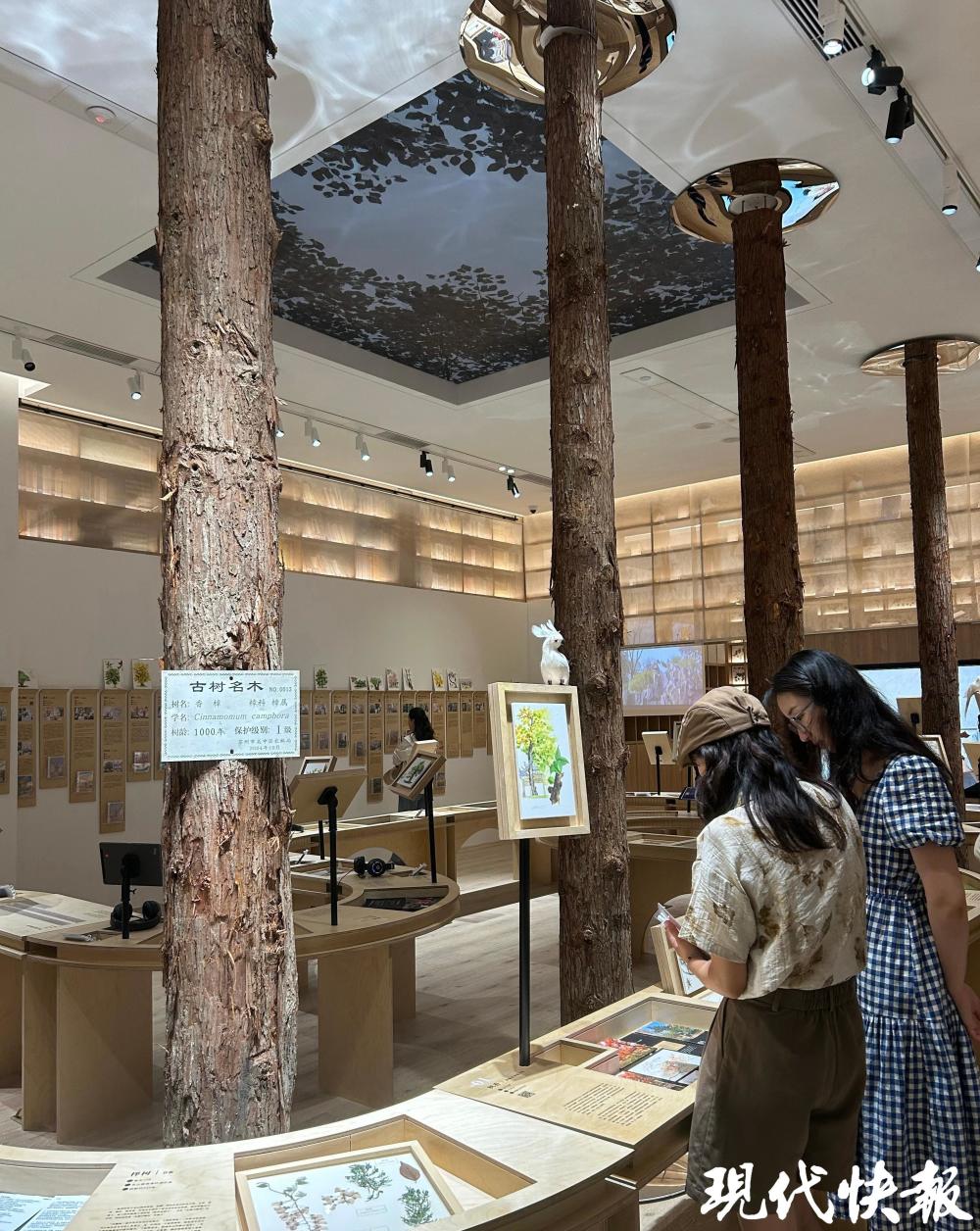 吴文化博物馆：在撤展与布展之间，寻找与年轻人的“共鸣点”_腾讯新闻