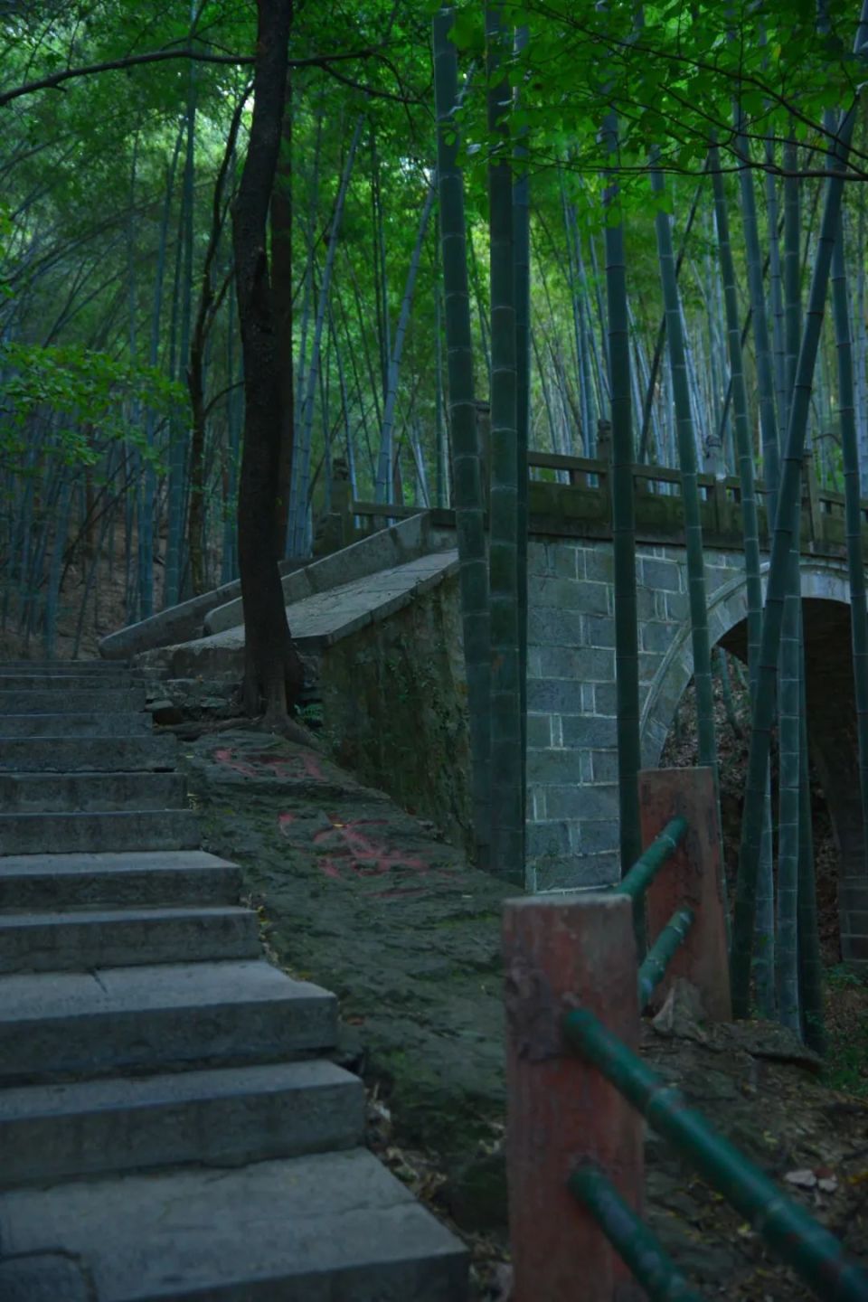 敬亭山的云海,茶园,竹林.初夏的绿意浓到化不开