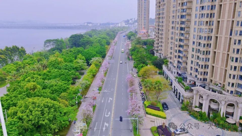 新闻早点丨颜值爆表!宁德市区一条"鲜花大道"浪漫上线