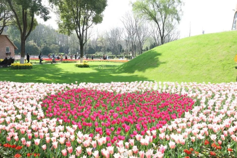 早安南京 | 在南京,体验"20分钟公园效应"