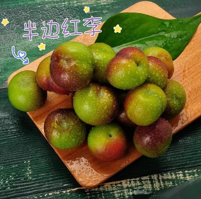 甜如蜜!贵阳周边的李子熟了