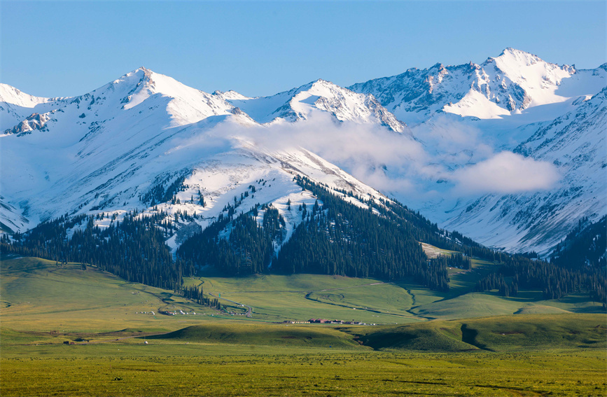 新疆伊犁:雪山草原相映 尽显空灵之美