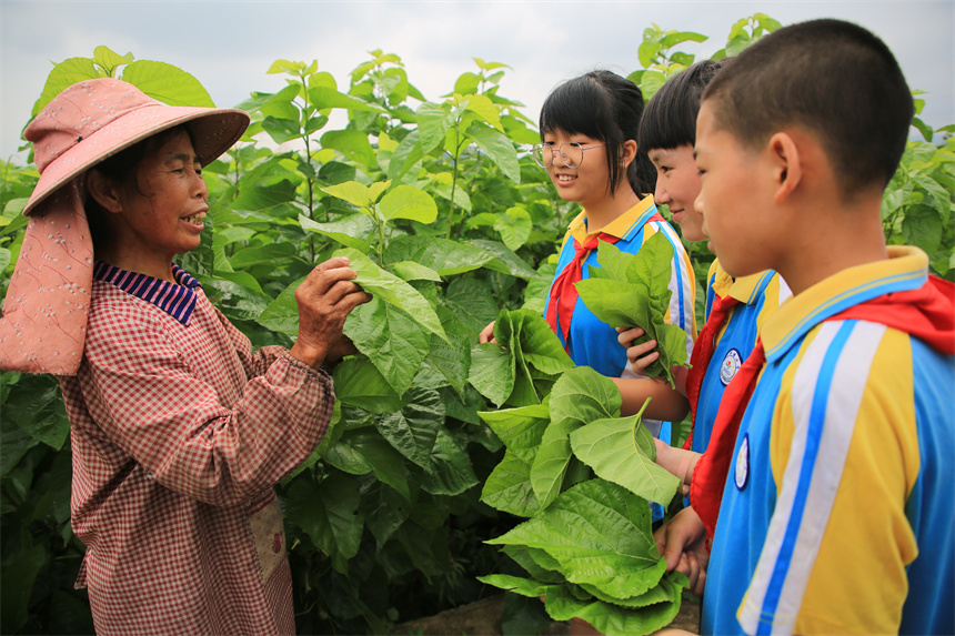 江西永新农业研学打造青少年第二课堂