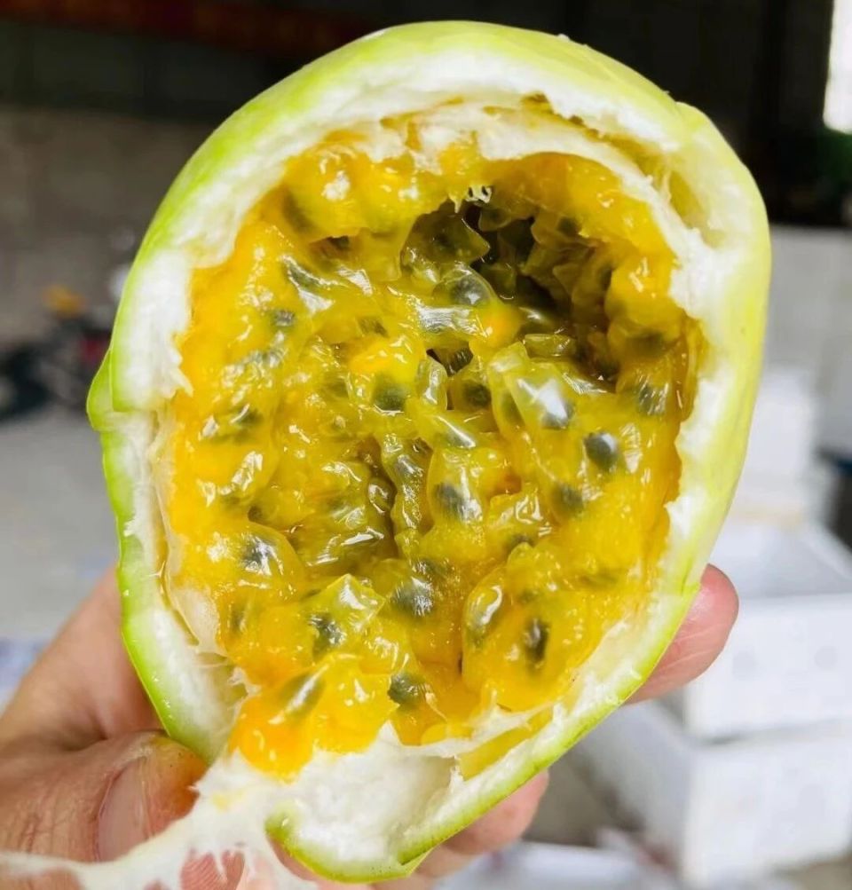 为啥一到端午，就非得吃粽子？_腾讯新闻