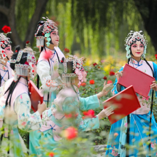 图片