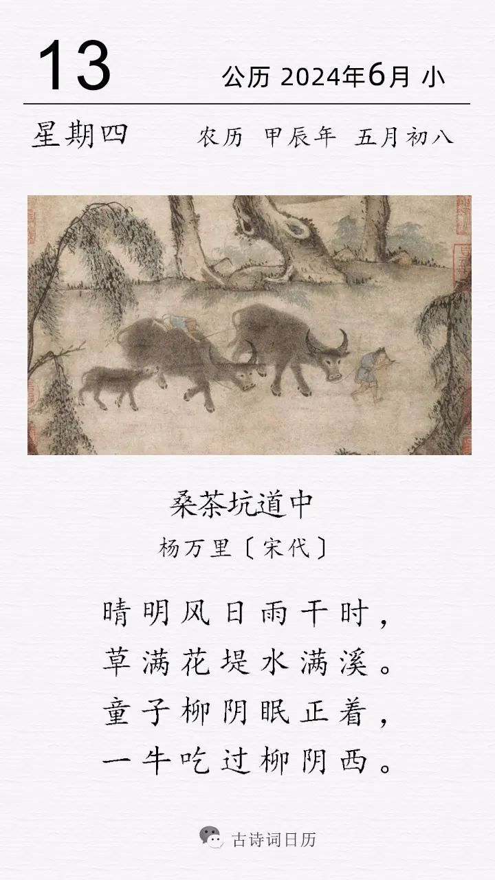 杨万里《桑茶坑道中》