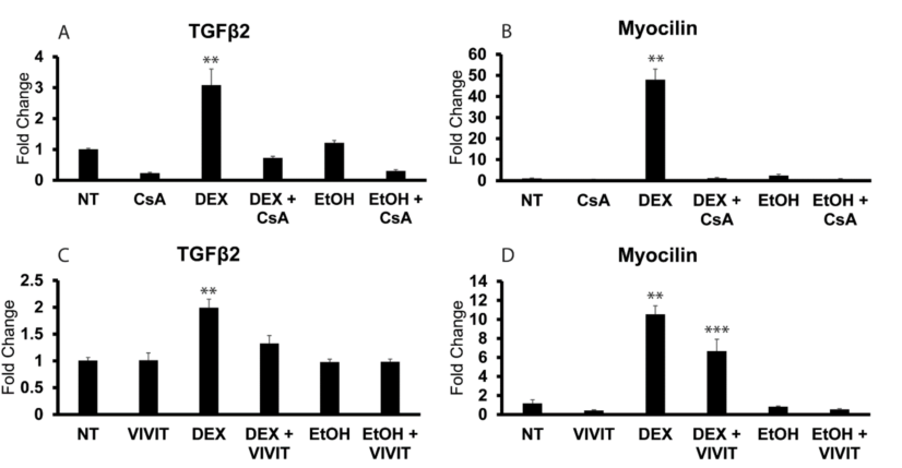 abmole科研快报nfatc1对地塞米松诱导的tgfβ2表达的调控在小梁网细胞