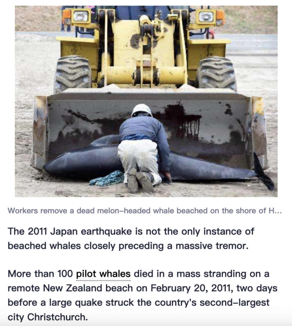 7月30日8.8级堪察加半岛大地震之前，日本4头抹香鲸搁浅，这是否是预兆呢？-腾讯新闻