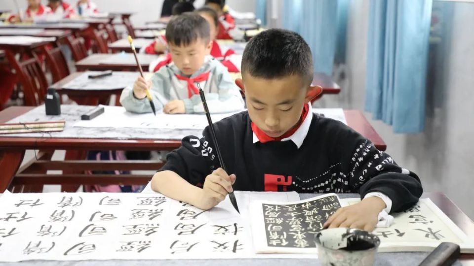 加速推进!七星关这项事业蓬勃发展