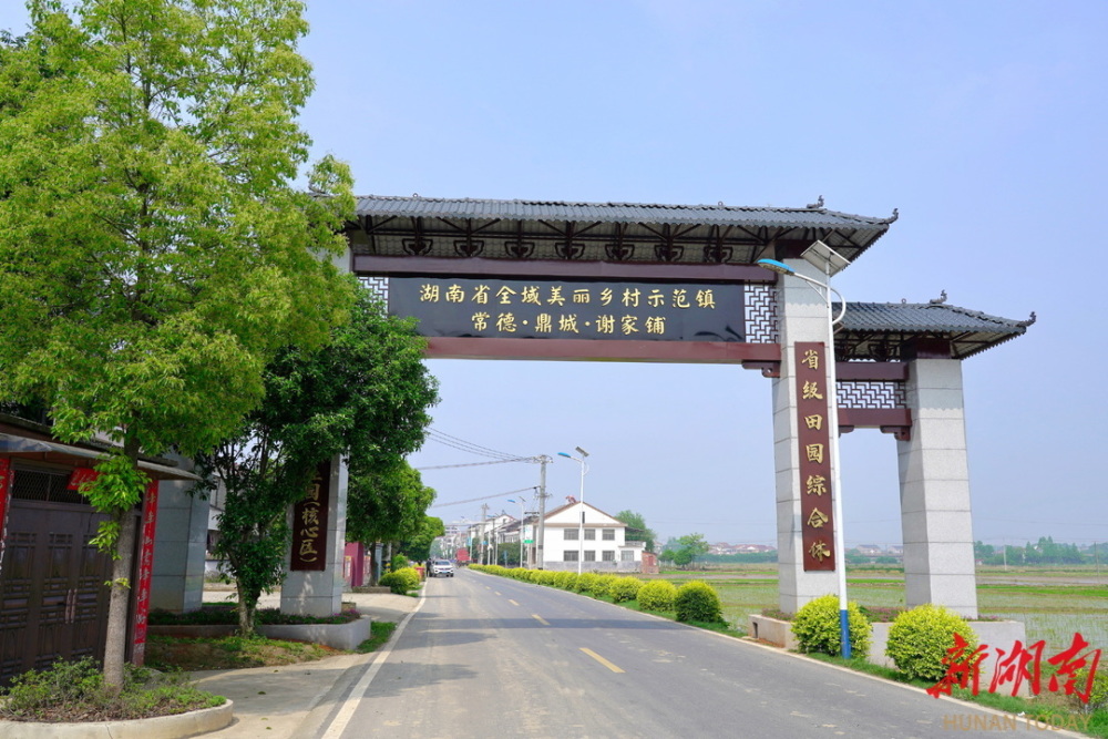 谢家铺镇:稻香小镇产业旺 和美乡村幸福浓_腾讯新闻