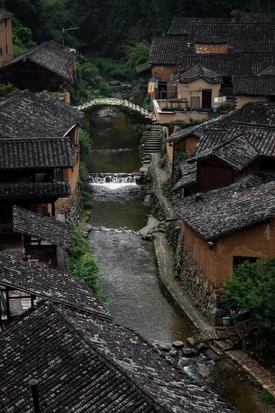 春游丽水:打卡松阳古村的春天