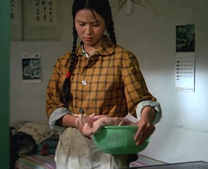 《上海一家人》主演李羚近照曝光,昔日清纯女星,如今65岁酒窝仍醉人