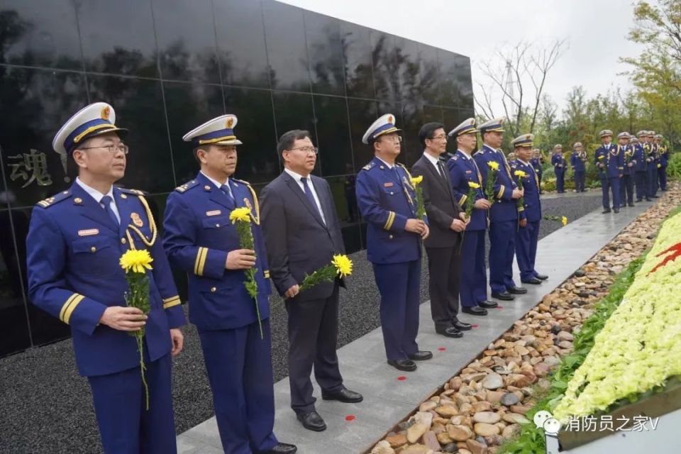 王保国重庆消防总队图片