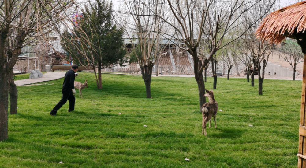 门票免费送!明天正式开启!
