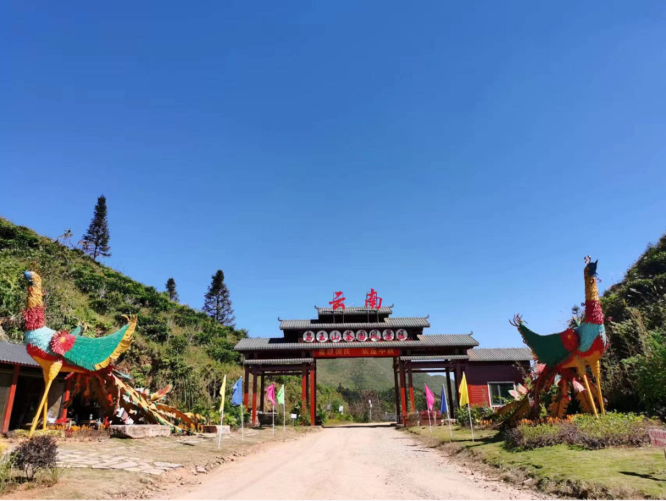 富宁县鸟王山茶园风景区是国家aaa级景区,位于里达镇东南侧,距离富宁