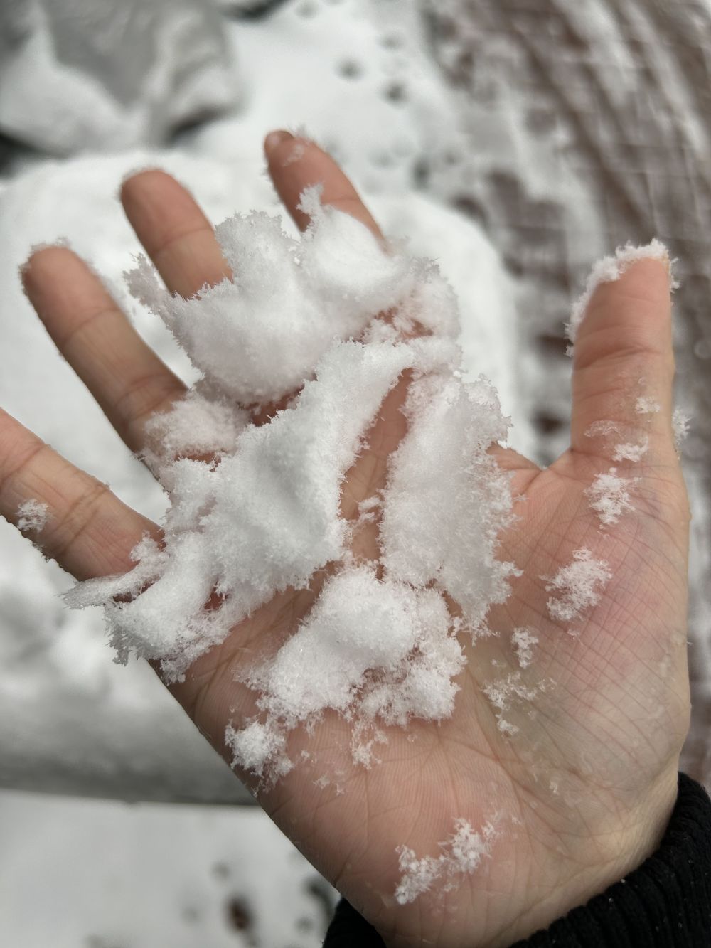 唯美手接雪花飘落图片图片