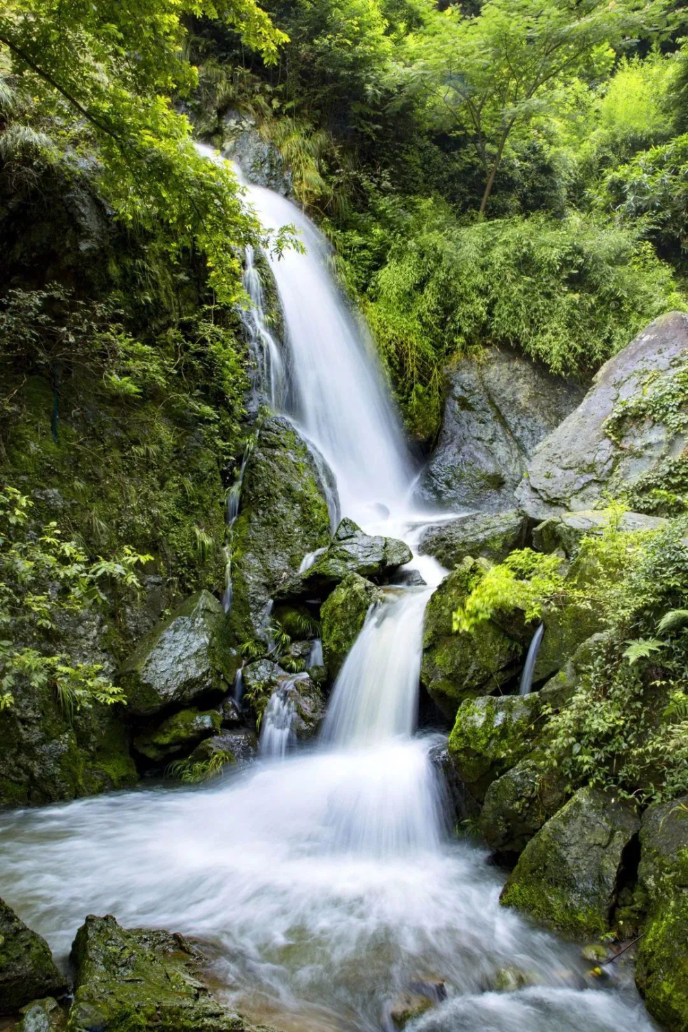 为了这抹绿,我专门去了趟绍兴
