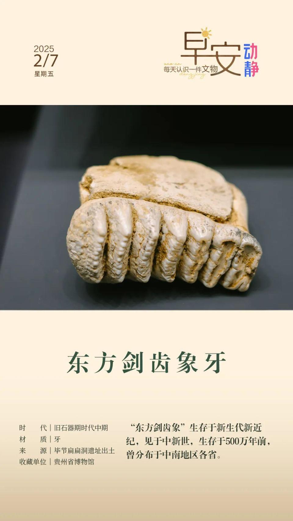 早安丨每天认识一件文物：东方剑齿象牙_腾讯新闻