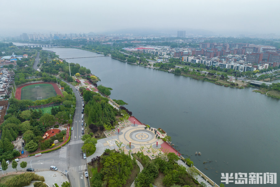 5月5日,城阳区白沙河运动公园里一片绿意浓浓的动人景象.