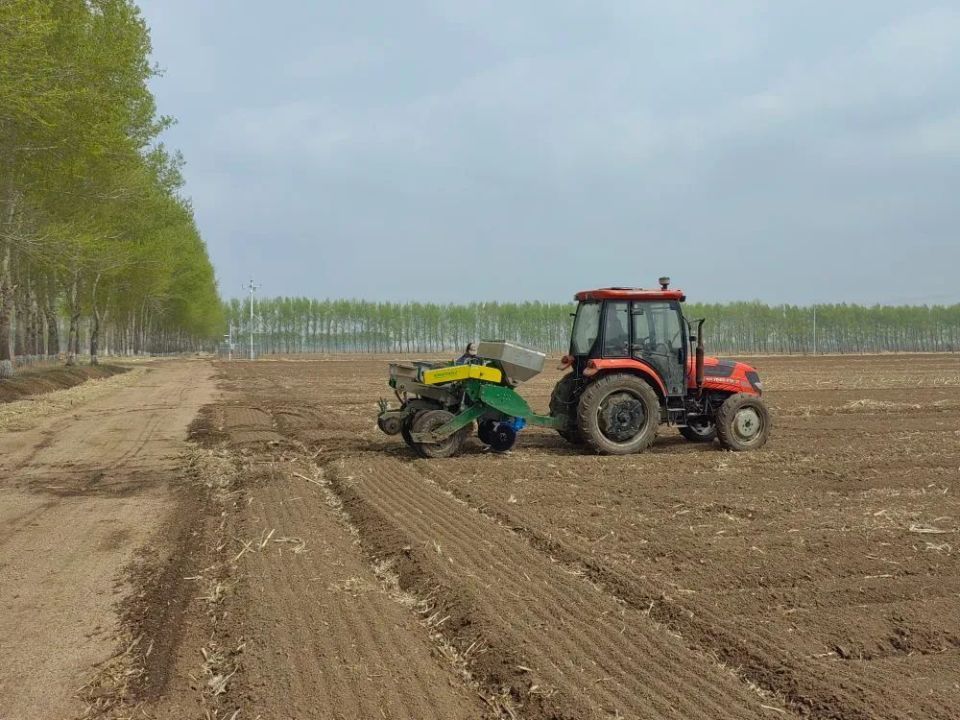 黑土地上的春耕新事