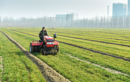 河北涿州农技包联小组一线助力春耕备播