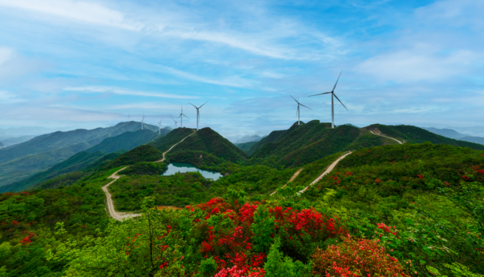 益阳灰山港镇图片