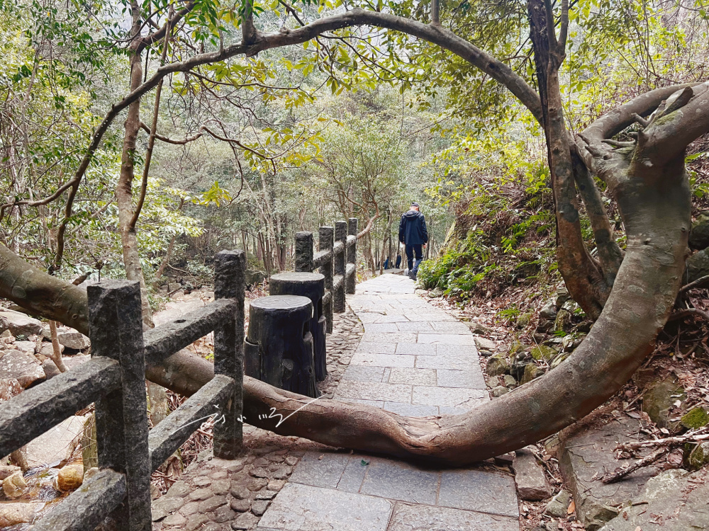 贺州姑婆山景点图片