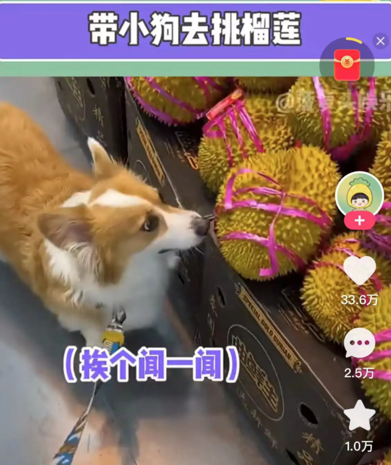 榴莲盲盒已经满足不了快手上的"榴莲脑袋"了
