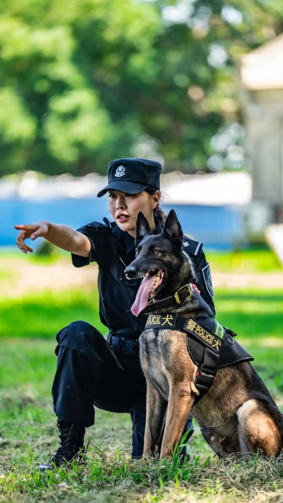 中国警犬大揭秘