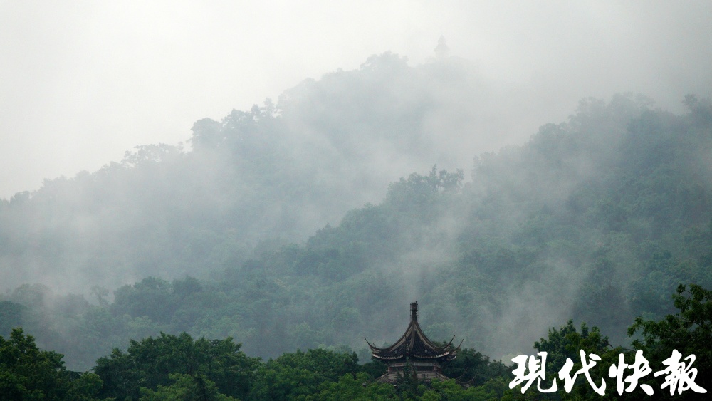 雨中紫金山仙气袅袅,宛若动感的水墨画